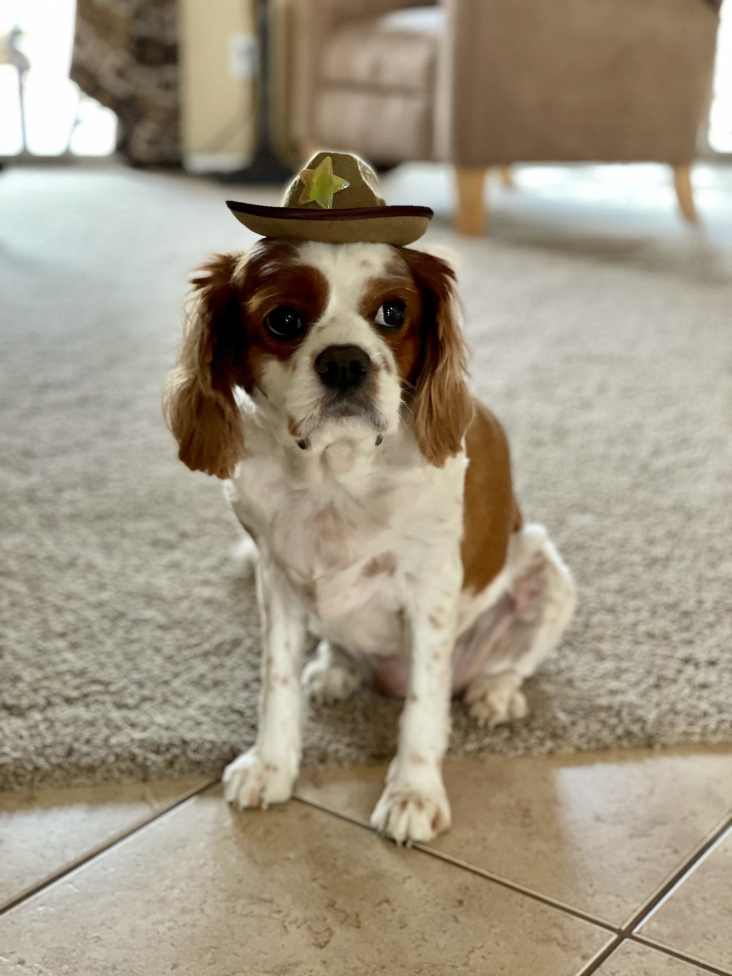 Annabelle wearing a cowboy hat